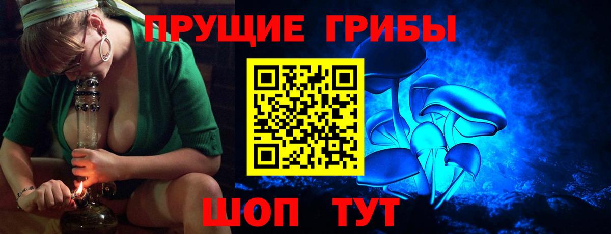 Псилоцибиновые грибы GOLDEN TEACHER  Вход с VPN  Новошахтинск 